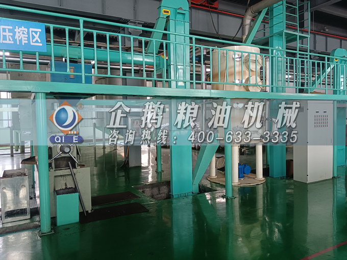 企鵝牌茶籽油雙螺桿榨油機(jī)，用心制造獲得客戶認(rèn)可(圖3)