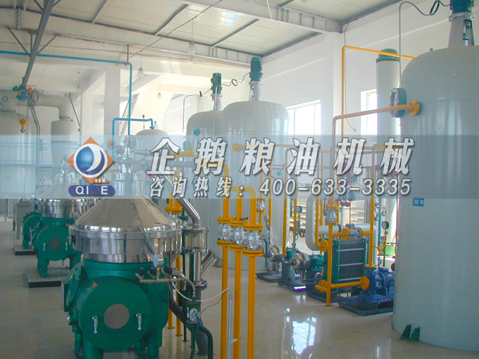 如何投資建設(shè)棕櫚油加工廠？企鵝糧油機(jī)械在線為您答疑解惑(圖2)