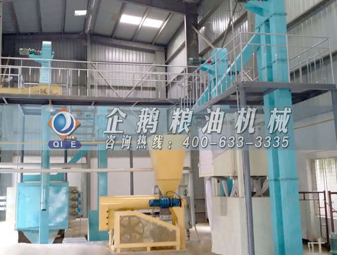 如何投資建設(shè)棕櫚油加工廠？企鵝糧油機(jī)械在線為您答疑解惑(圖4)