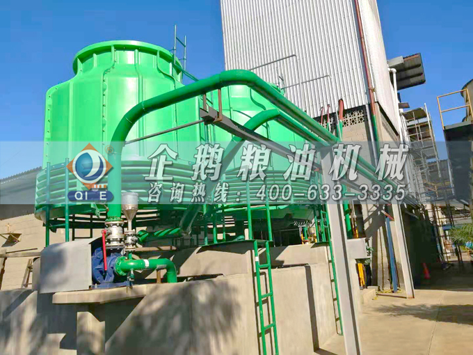 如何投資建設(shè)棕櫚油加工廠？企鵝糧油機(jī)械在線為您答疑解惑(圖3)