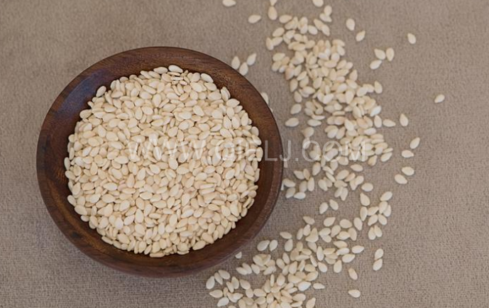 芝麻油壓榨處理設(shè)備，企鵝牌液壓榨油機(jī)勇于創(chuàng)新生產(chǎn)效率高(圖1)